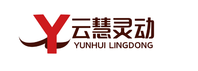 武汉云慧灵动网络